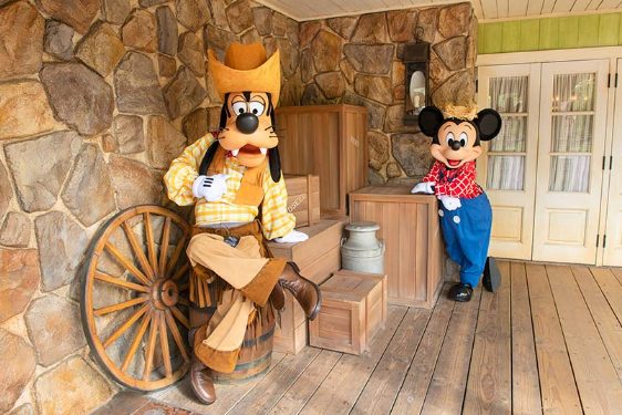 【秘密】ディズニー着ぐるみキャスト(バイト)のなり方は?給料と中身とは 7 image 4 3