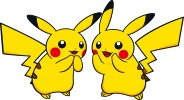 pika03